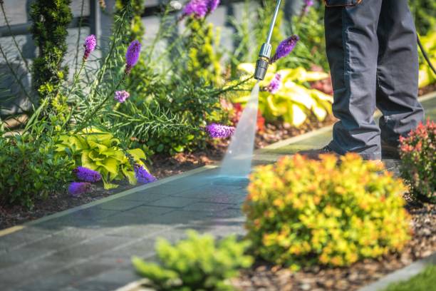 Best Warehouse Cleaning  in Montvale, NJ