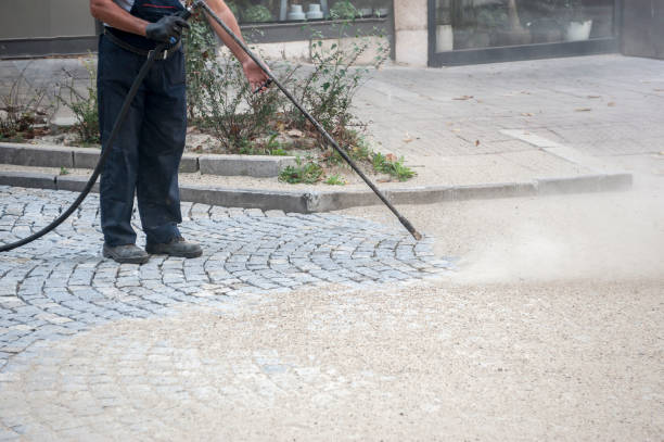 Animal Enclosure Cleaning in Montvale, NJ
